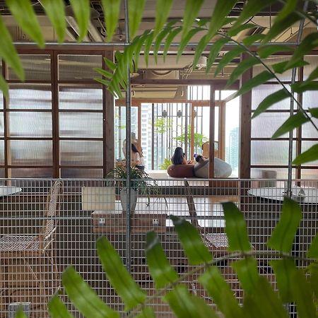 Star Hostel Taichung Parklane Экстерьер фото